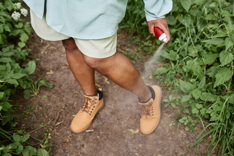 How to Properly Dispose of Bug Spray