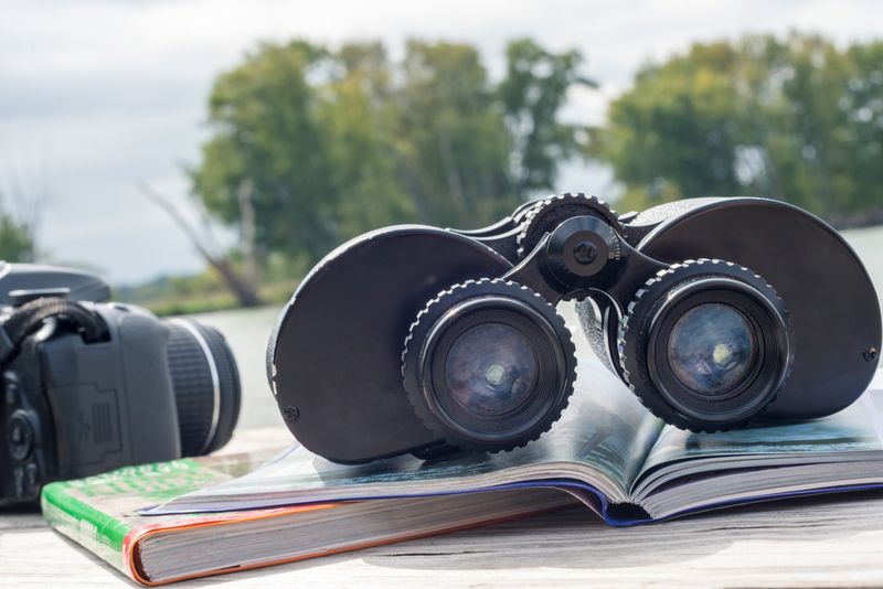 How to Responsibly Dispose of Binoculars