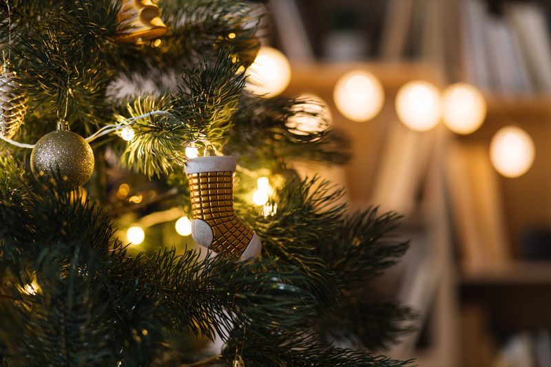 Responsible Ways to Dispose of Your Real Christmas Tree