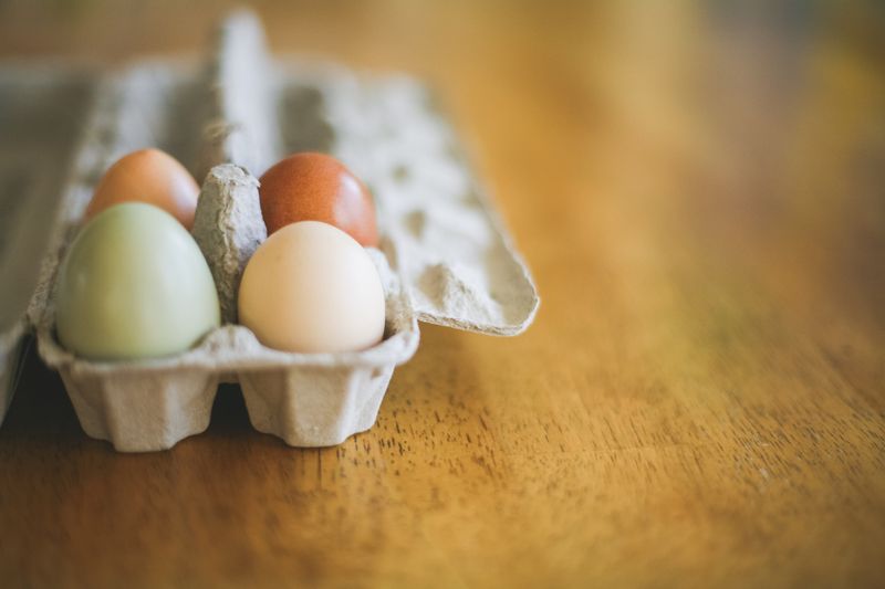 What to Do with Empty Egg Cartons: Recycling and Reuse Options