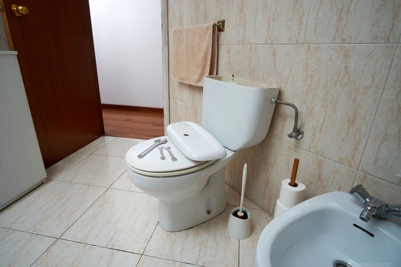 How to Responsibly Dispose of Toilets