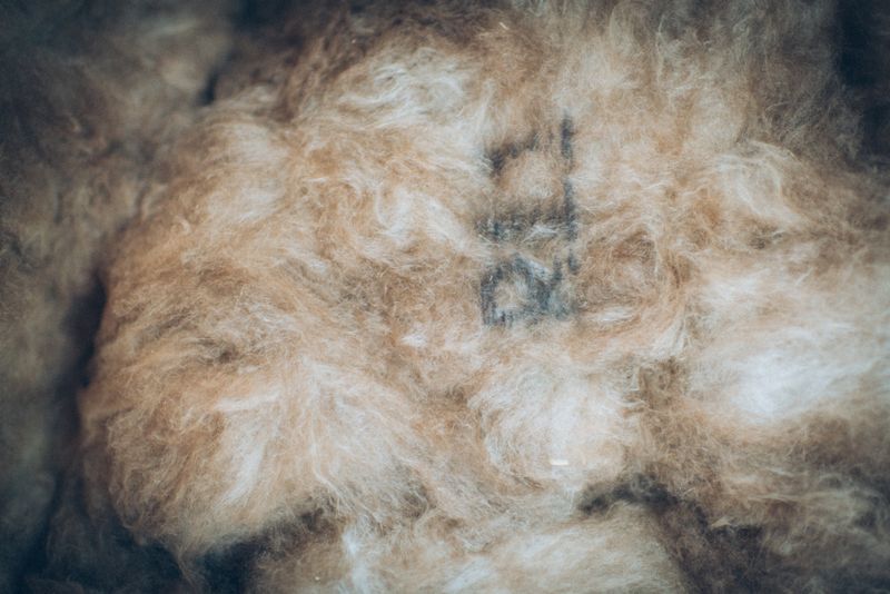 Proper Disposal Methods for Loose-Fill Fiberglass Insulation