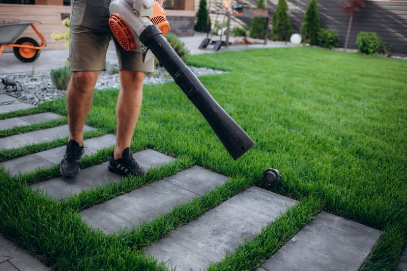 How to Responsibly Dispose of Gas Leaf Blowers
