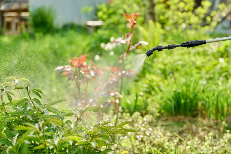 How to Properly Dispose of Garden Chemicals