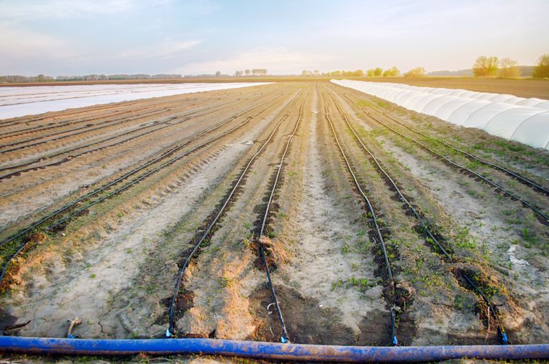 How to Dispose of Irrigation Tubing Responsibly