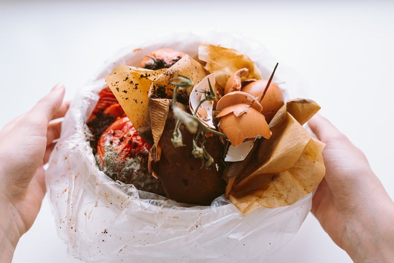 How to Dispose of Biodegradable Bags: Recycling and Composting