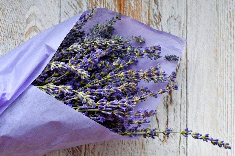 How to Recycle or Dispose of Tissue Paper