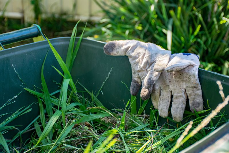 How to Properly Dispose of Yard Waste