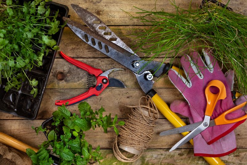 How to Responsibly Dispose of Old Gardening Tools