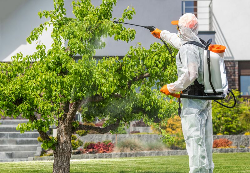 How to Properly Dispose of Pesticides