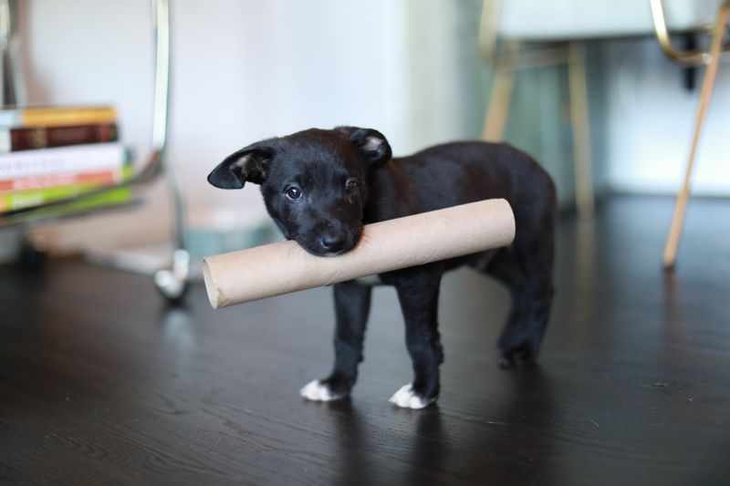 Creative Ways to Dispose of Paper Towel and Toilet Paper Rolls
