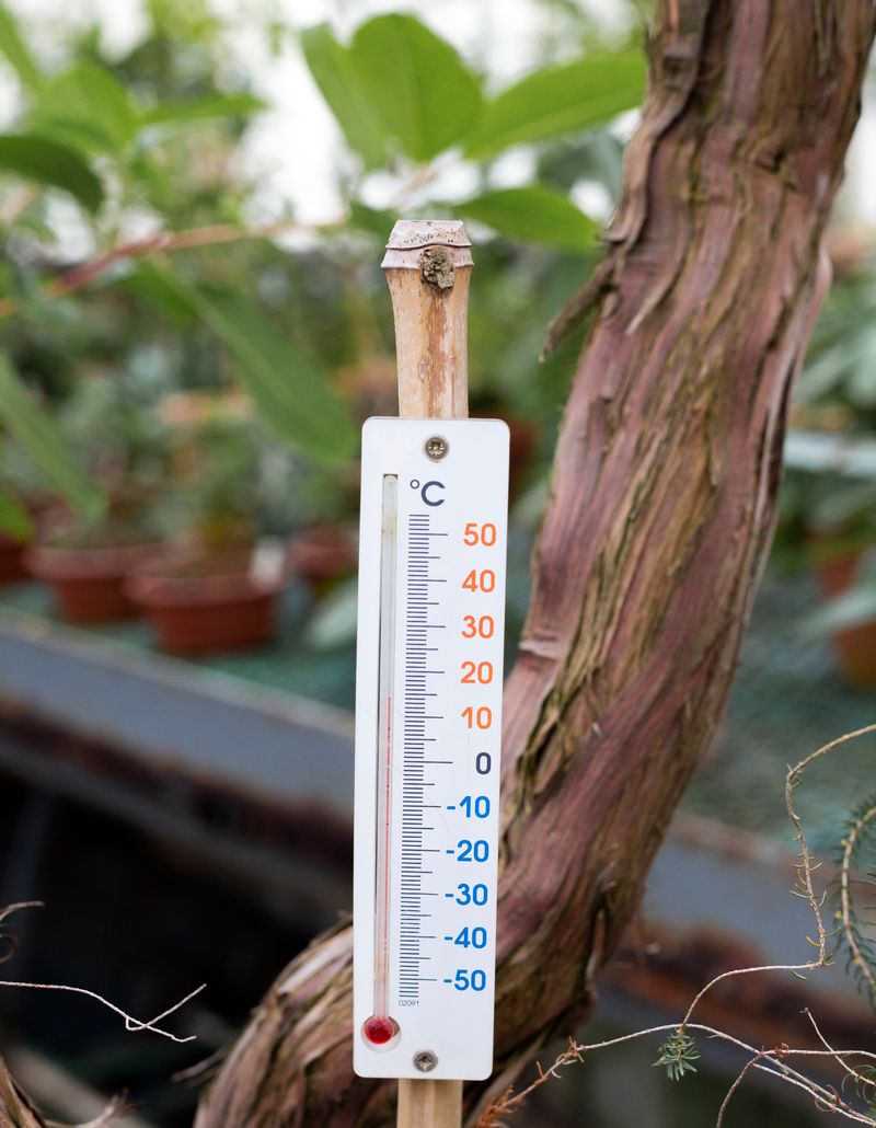 Proper Disposal of Thermometers
