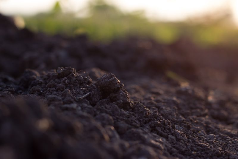 How to Dispose of Dirt Responsibly