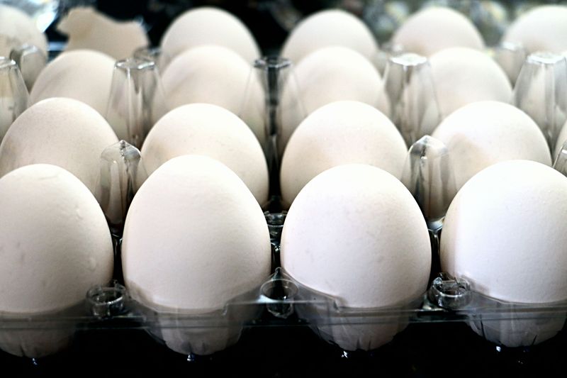 How to Recycle Plastic Egg Cartons Responsibly