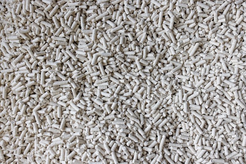 Proper Disposal Methods for Kitty Litter