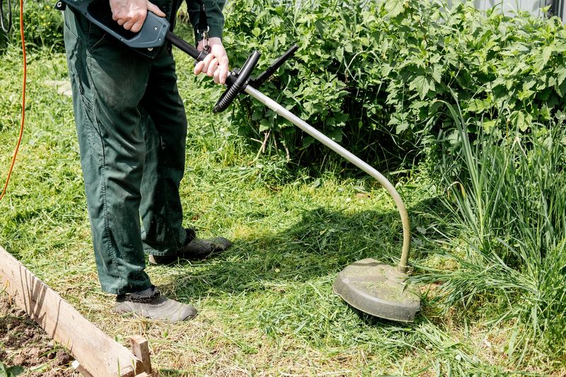 How to Responsibly Dispose of Weed Eaters