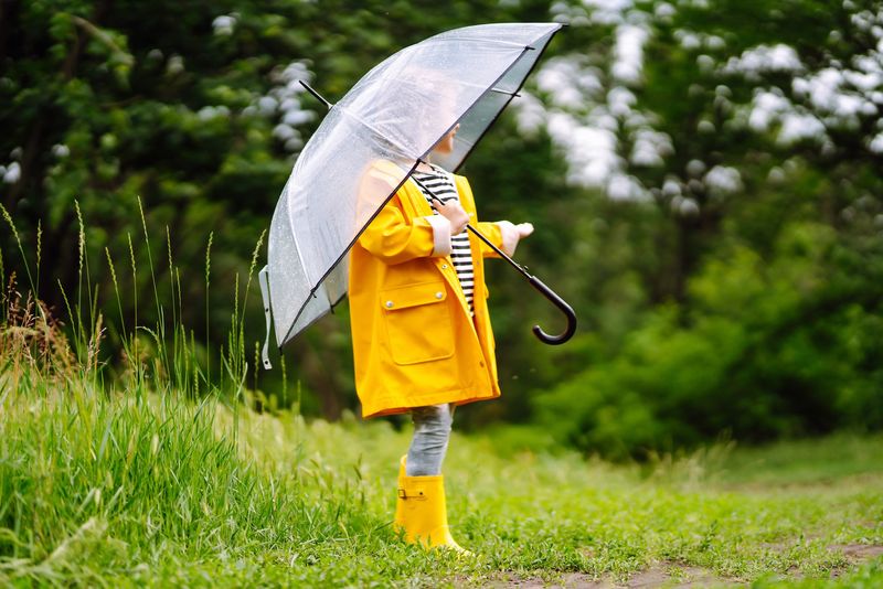 How to Responsibly Dispose of Umbrellas