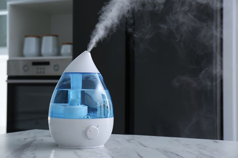 How to Properly Dispose of a Humidifier